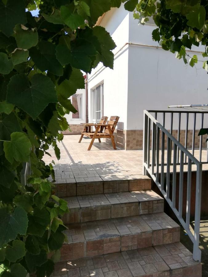 Vila Ekooos 브라쇼브 외부 사진
